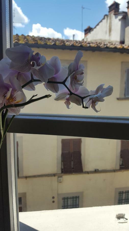 Sweet Tuscany アレッツォ エクステリア 写真